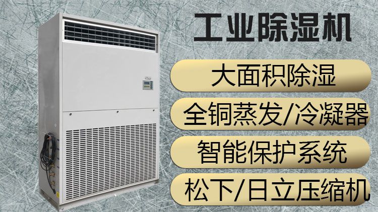 为什么需要专业的除湿机？